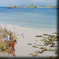 Paintings of Tresco and the Isles of Scilly